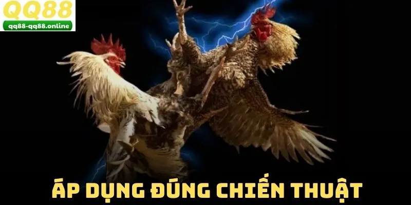 Áp dụng đúng chiến thuật