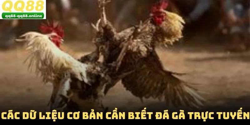 Các dữ liệu cơ bản cần biết đá gà trực tuyến