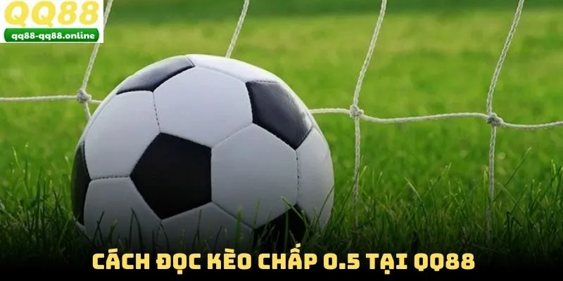 Cách đọc kèo chấp 0.5 tại QQ88