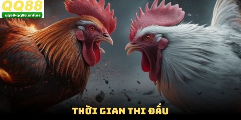Thời gian thi đấu